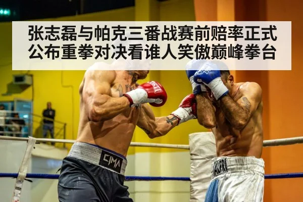 张志磊与帕克三番战赛前赔率正式公布重拳对决看谁人笑傲巅峰拳台